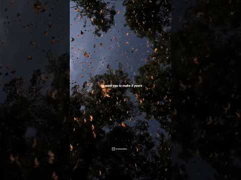 Ariana Grande - Supernatural ( lyrics visualizer ) status @lyrics