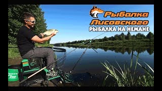 Ловля на фидер неман гродно