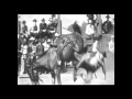 "Rodeo" by Don Stevenson