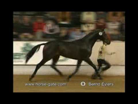 Laurent von Lauries Crusador