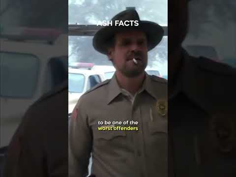 Did You Know In STRANGER THINGS…