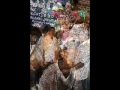 NSRNAGAR COLONY BONALU2013
