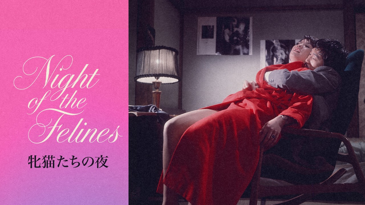 Miniature de la vidéo Night of the Felines (1972) | Trailer | Noboru Tanaka du film Nuits félines à Shinjuku