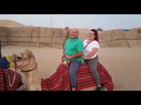 Zu schwer fürs Kamel