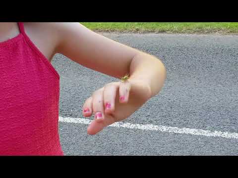 Grasshopper jumps in car from daughter's hand,dad goes crazy!