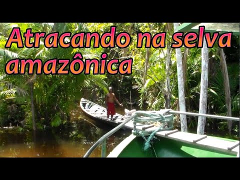 Atracando na selva. Comunidade ribeirinha São Francisco do Arraia, rio Tefé, Alvarães, Amazonas.