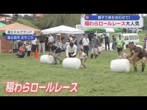 YouTube Video 富士ミルクランドで「畜産まつり」　重さ１０キロの稲わらを親子で息を合わせて転がす「稲わらロールレース」が人気