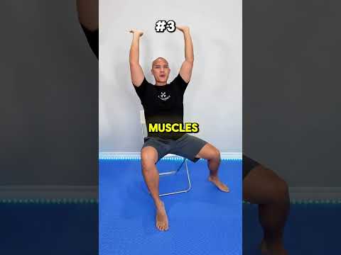 Low Impact Chair Workout for Beginners and Seniors