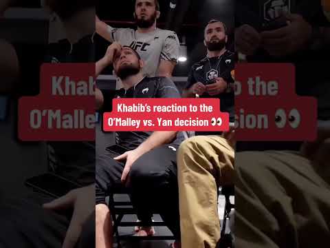 Khabib was stunned 🤯 (via @redcornermma/TT) #shorts