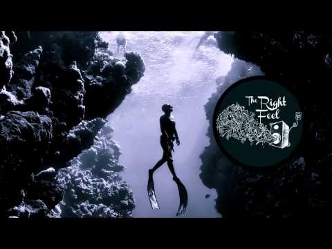 Phonique - Endless Love (Feat. Louie Austen)