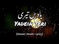 Yaadein Teri Slowed Reverb Lyrics Urdu Lyrics Jo Hai Hua Janay Bhi Dai Mubeenbuttmusic