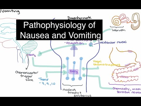 Pathophysiology of Nausea and Vomiting