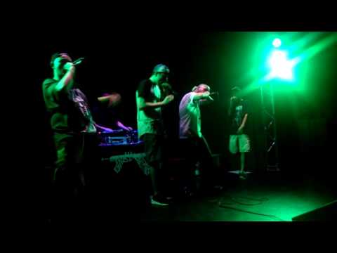 Mente Sabia Cru - 12 Objeto vivo