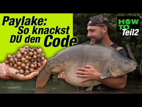 Karpfenangeln am Paylake I auf große Fische im Urlaub – Brocher & Brüninghoff (Teil 2)