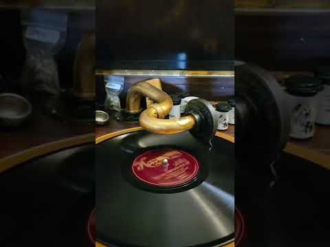 You're The One for Me - (Irving Kaufman) Ross Gorman his Virginians Harmony Records #350 1927