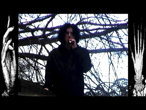 { b a v e n } - ECHO ON THE PAVEMENT