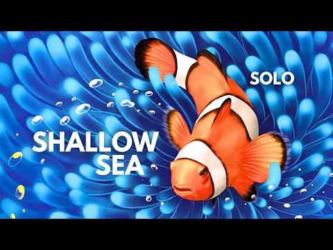 Shallow Sea | Solo Board Game Tutorial and Playthrough (Review copy provided)