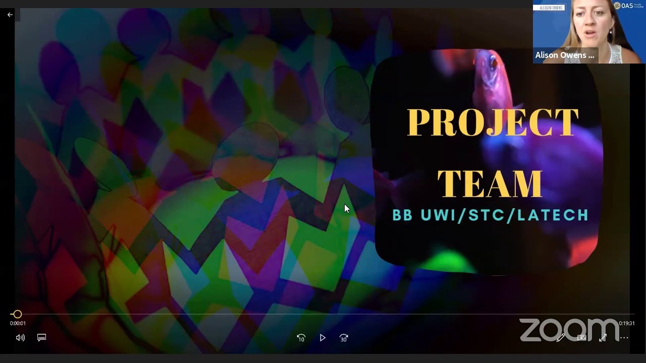 STEM Lesson Planning and Implementation