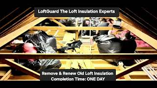 Album cover: LoftGuard Customer Finished Loft Works