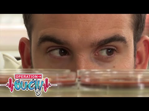 Is Kissing Disgusting? 💋🦠 | #Clip | TV Show for Kids | @OperationOuch