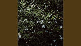 Cover art for Polifemo