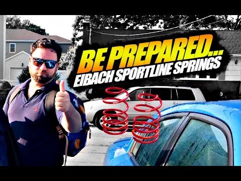 How Much, Worth it so far? Eibach Sportline Lowering Springs