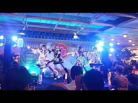Castella -  Cat Slave งาน Nippon market [Fancam]