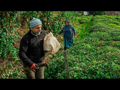 The New Villagers – A Family in Raşot | Documentary Film