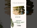 Oshana WhatsApp Status 2023 Palm Sunday WhatsApp Status Oshana Status