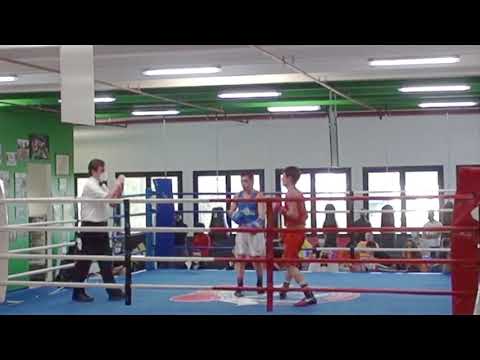 foglia vs ciccarelli k56Licini