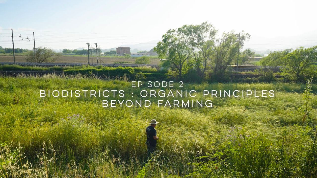 #OrganicDelivers | Episode 2 - Biodistricts: Organic principles beyond farming