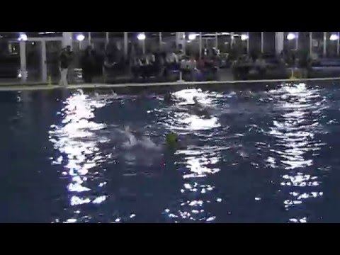 Wp CADETE  Real Canoe - Encinas de Boadilla (3ºcuarto)