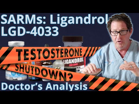 SARMs: Ligandrol LGD4033 - Testosterone Shutdown? Doctor's Analysis