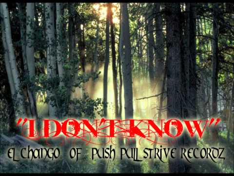 Push Pull Strive Recordz - I Don't Know