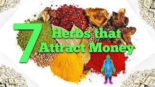 Attract Money Fast: 7 Herbs That Attract Money Fast!