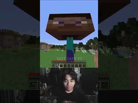 ALL ABOUT STEVE OVERPOWER MINECRAFT #shorts