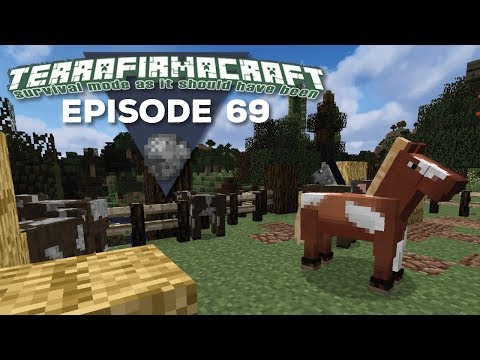 TerrafirmaCraft |S2E69| - Familiar Friends & Formulas
