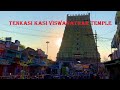 Tenkasi Kasi Viswanathar Temple - Travel Guide