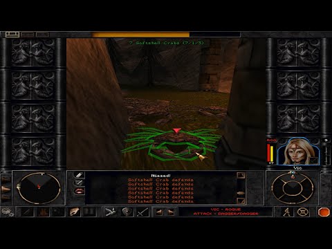 Wizardry 8 – Solo Rogue 01 – That’s More Crabs Than I Wanted