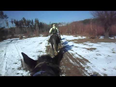 Sfarsit de iarna 7Cai