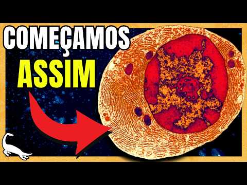 LUCA: the ANCESTOR of US ALL