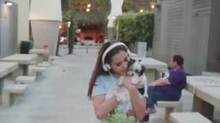 Can&#39;t Feel My Face - Megan Nicole (cover) The Weeknd