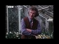 Daffodil breeding (unintentional ASMR)
