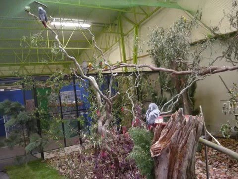 EXPOSITION DE WINTZENHEIM (Alsace68)