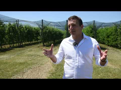 ZAJEDNO do VRHUNSKIH PRINOSA  - Galenika Fitofarmacija, Dani polja Titel i Tavankut