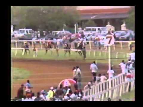 1991 Blueprint Handicap - Sandford Prince
