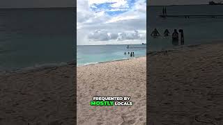 HIDDEN LOCAL ARUBA BEACH!  #theportlowdown #automobile #cruisetour