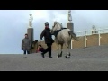 196 Icelandic horses on the beach - 196 IJslandse ...