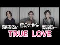 【名曲】『TRUE LOVE』を藤井フミヤ・氷室京介・河村隆一が歌ったら素敵だった byたむたむ 【名曲】『TRUE LOVE』を藤井フミヤ・氷室京介・河村隆一が歌ったら素敵だった byたむたむ