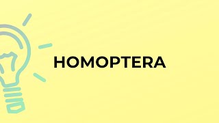 What is the meaning of the word HOMOPTERA